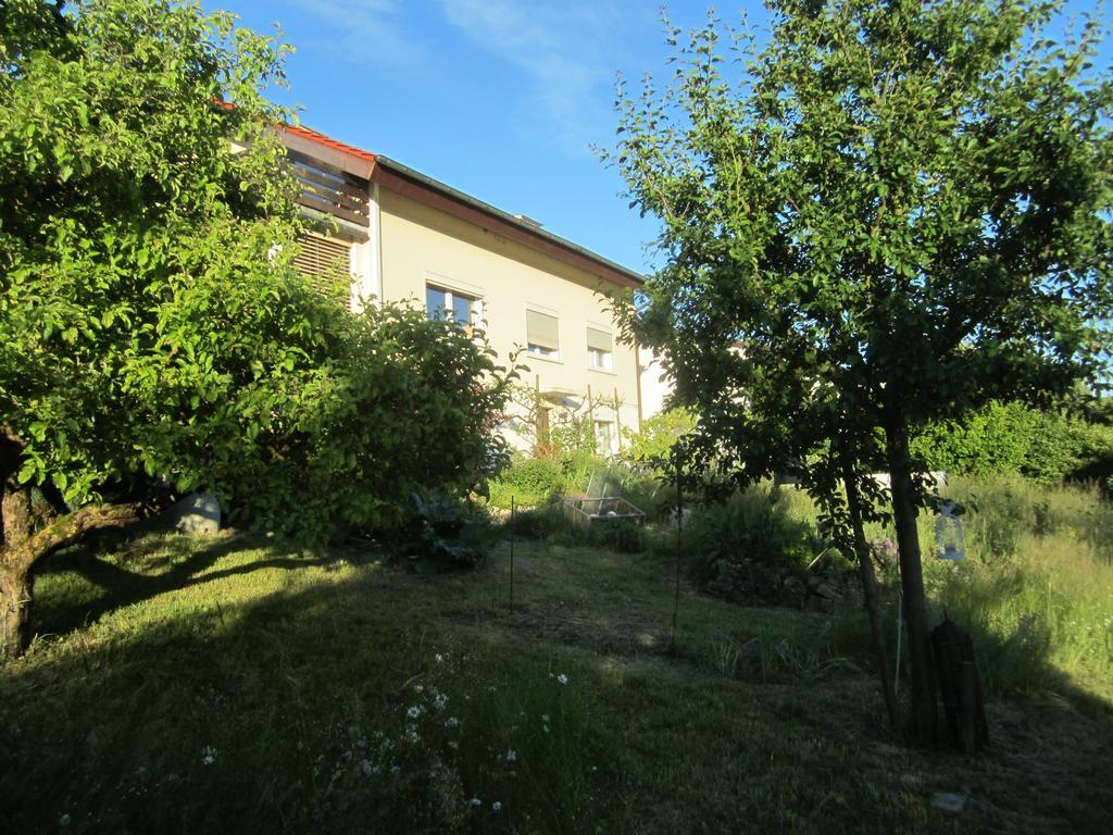 Bnb Moenthal Im Jurapark Exterior photo